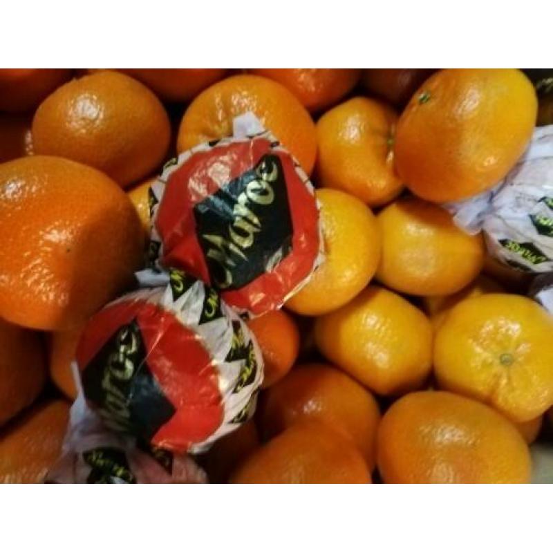 Fruit en Groente super lekker.
