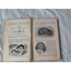 Uit 1932,Dier en plantkunde voor M.U.L.O. Wolters uitgevers