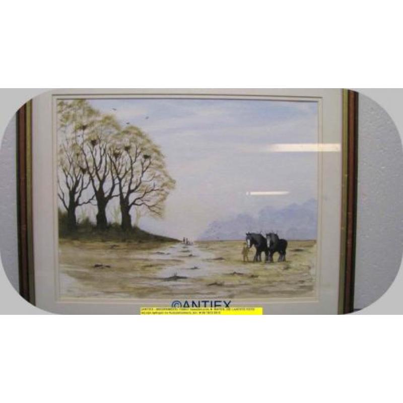 9691 - aquarel paarden - William James - € 35