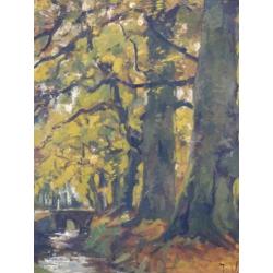Jan van Vuuren: herfstbosgezicht met Hierdensebeek