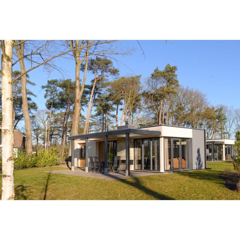 Fraaie vakantievilla voor 6 personen op park in Voorthuizen