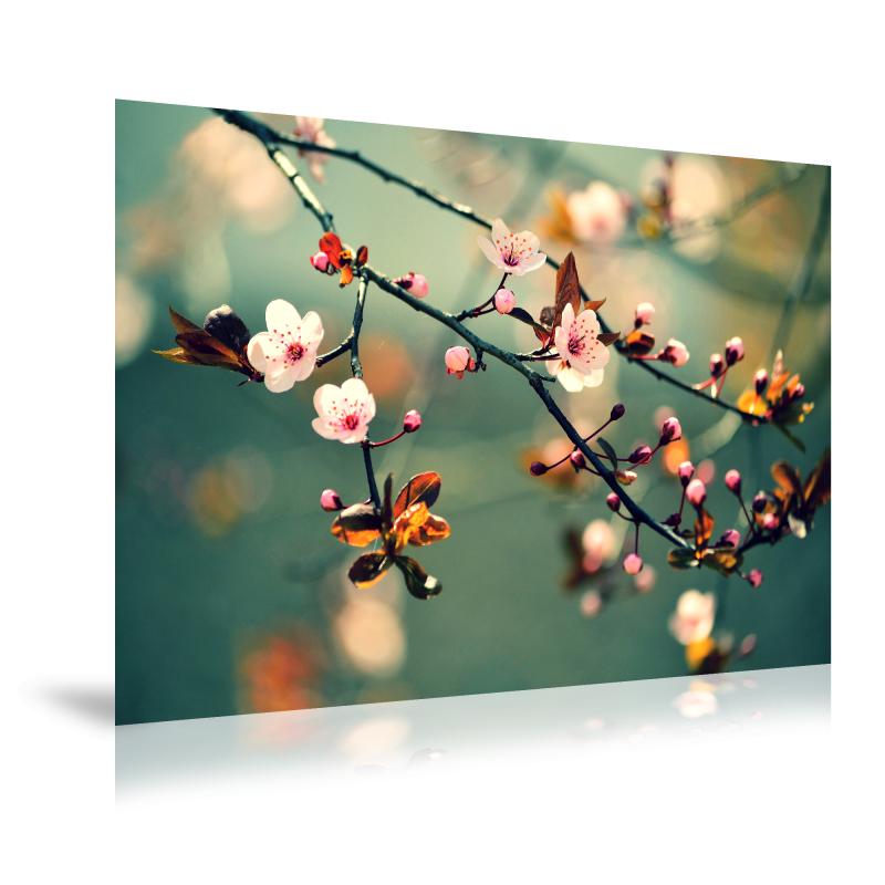 Fotoafdruk Mat 120x120