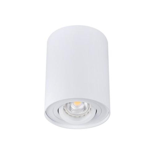 Opbouwspot rond - Bord1 - Wit - Kantelbaar - Ø95x125mm