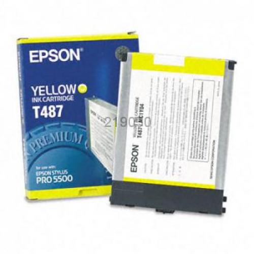 T487011 (C13T487011)