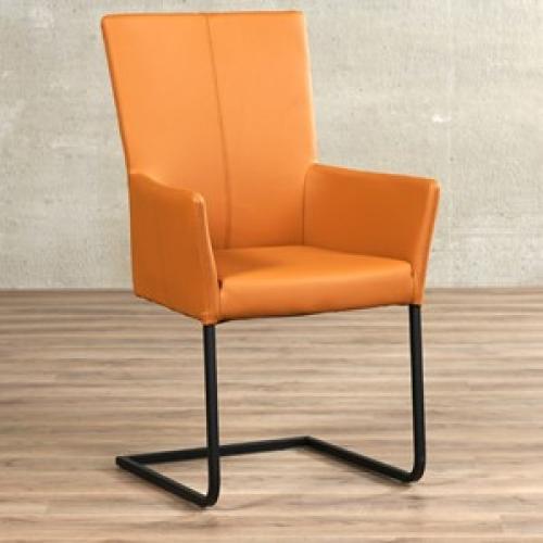 Leren eetkamerstoel dare met armleuning bruin, bruin leer, bruine keukenstoelen