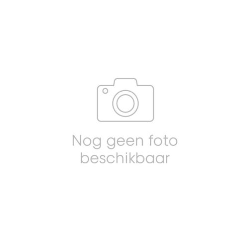 Systeemverf wit 2,5 ltr