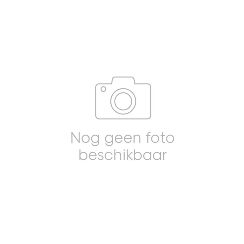 Systeemverf wit 2,5 ltr