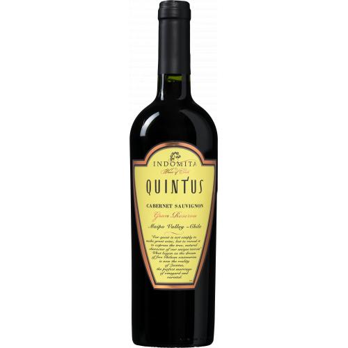 Quintus Gran Reserva Cabernet Sauvignon (1 fles)